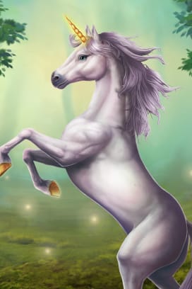 Unicorn Reels