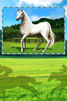 50 Horses