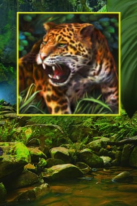 Amazing Amazonia