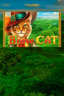 Brave Cat