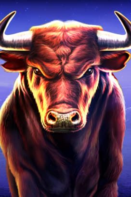Black Bull