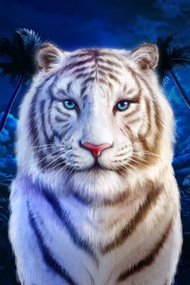 Moon Tiger