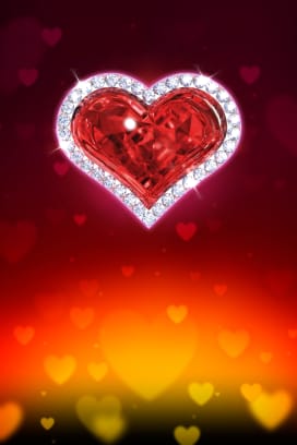 Wild Love
