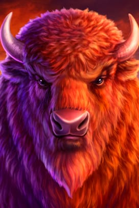 Buffalo 50