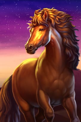 Mustang Trail