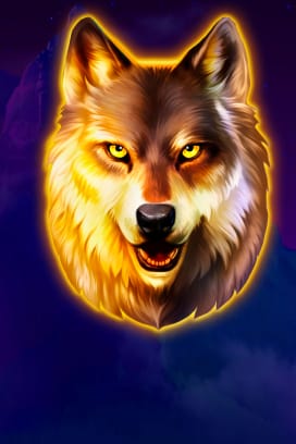 Wolf Night