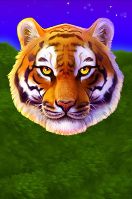 Tiger Stone