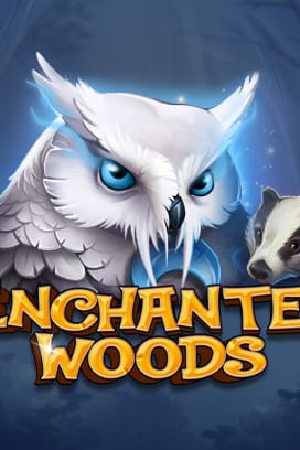 Enchanted Woods