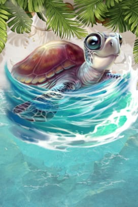 Turtle Paradise