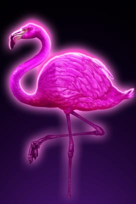 Neon Jungle Scratch