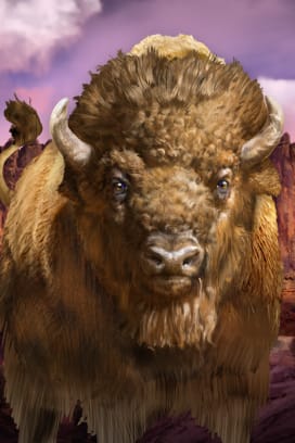 Big Bad Bison