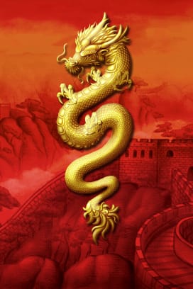 Feng Fu