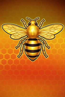 Royal Beellion Hold & Win